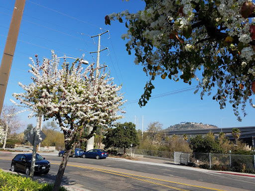 Coffee Shop «ZUMBAR Coffee & Tea», reviews and photos, 10920 Roselle St, San Diego, CA 92121, USA