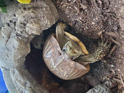 Pet Store «Windy City Pet Store», reviews and photos, 1660 N 4th St m, Laramie, WY 82072, USA