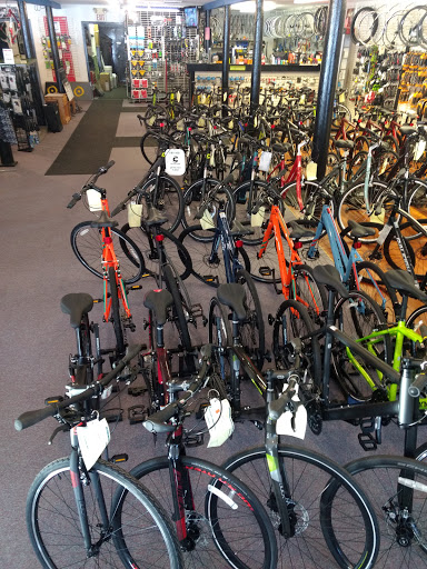 Bicycle Store «Central Wheel», reviews and photos, 62 Farmington Ave, Farmington, CT 06032, USA