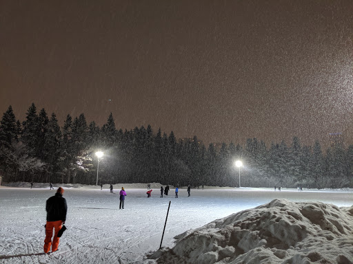 Victoria IceWay Skating Trail