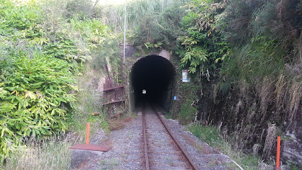 Waitakere Train Tunnel