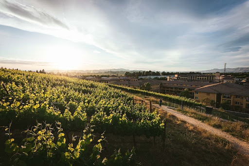 Meritage Resort And Spa image