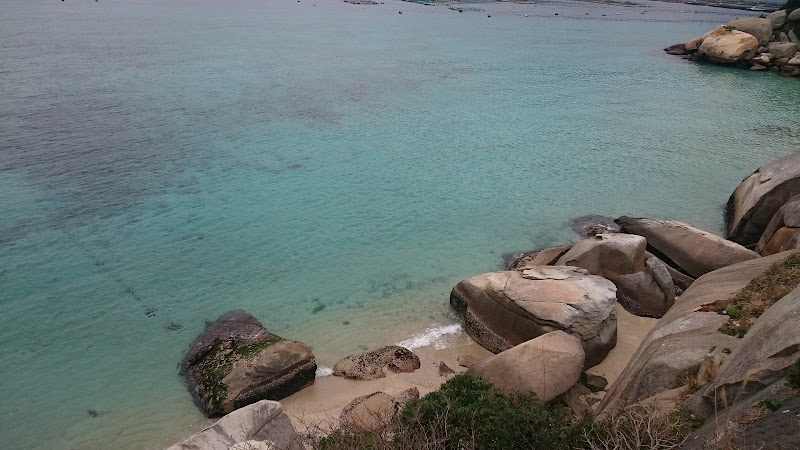 魚ごころ 高知県大月町柏島 シーフード 海鮮料理店 レストラン グルコミ