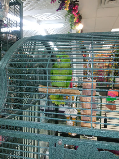 Pet Store «Discount Pet & Supplies», reviews and photos, 16320 Middlebelt Rd, Livonia, MI 48154, USA