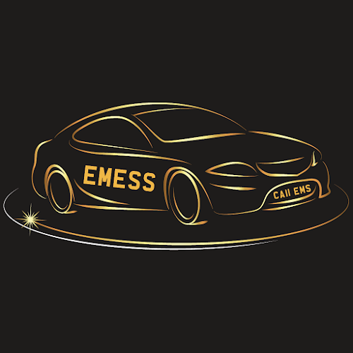 Comments and reviews of Emess Car Service