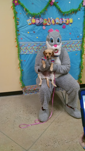 Pet Supply Store «PetSmart», reviews and photos, 540 New York Ave, Lyndhurst, NJ 07071, USA