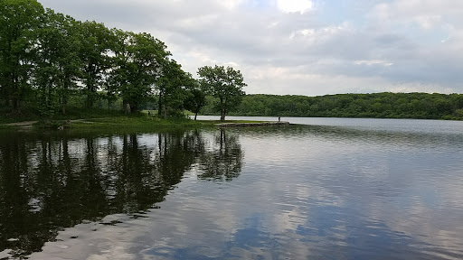 Nature Preserve «Pulaski Woods East», reviews and photos, 9600 Wolf Rd, Willow Springs, IL 60480, USA