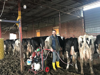 Mehmet Tunca Süt ve Besi Çiftliği