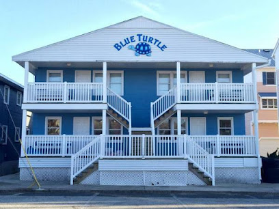The Blue Turtle