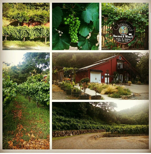 Winery «Chouinard Vineyards & Winery», reviews and photos, 33853 Palomares Rd, Castro Valley, CA 94552, USA