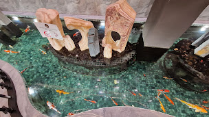 Photo n°82 de Royal Buffet Toulouse Route d'Espagne à Toulouse ()