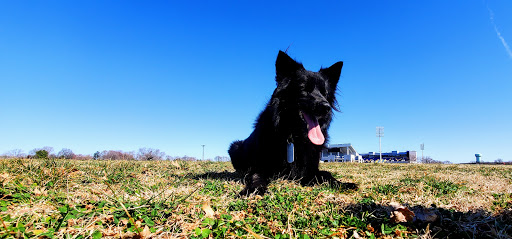 Stadium «Navy-Marine Corps Memorial Stadium», reviews and photos, 550 Taylor Ave, Annapolis, MD 21401, USA
