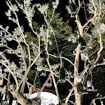 Photo n°3 de l'avis de Chiara.a fait le 10/08/2021 à 23:55 sur le  Piedigrotta 2 à Reggio Emilia