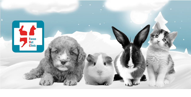Focus Vet Állatorvosi Rendelő