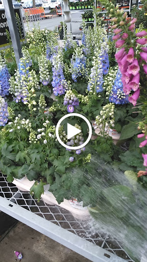 Home Improvement Store «The Home Depot», reviews and photos, 68 E Thompson Pl, Monticello, NY 12701, USA