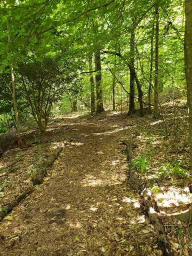 Arboretum «The University of Alabama Arboretum», reviews and photos, 4801 Arboretum Way, Tuscaloosa, AL 35404, USA