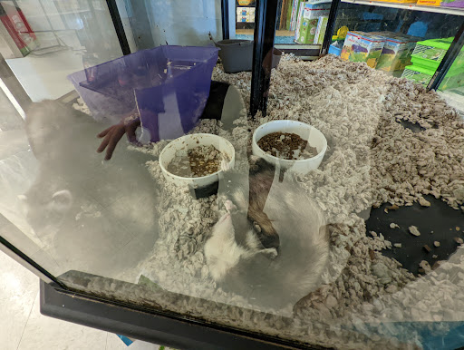 Pet Supply Store «Petco Animal Supplies», reviews and photos, 2230 Marlton Pike W #3, Cherry Hill, NJ 08002, USA