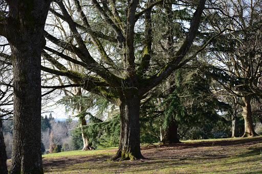 Park «Gabriel Park», reviews and photos, SW 45th Ave & Vermont Street, Portland, OR 97219, USA