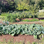 Photo n°25 de l'avis de Roberto.o fait le 29/10/2017 à 18:15 sur le  Chalet Fontana à Florence