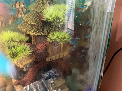 Pet Supply Store «PetSmart», reviews and photos, 170 Marketplace Blvd, Hamilton Township, NJ 08691, USA