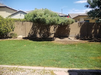 Pete's Lawn Care - Photo 2 - Car repair in Queen Creek, AZ, Mesa
