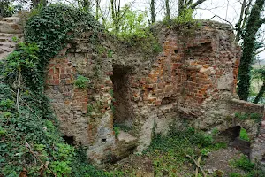 Ruiny Zamku Książęcego w Jelczu-Laskowicach image