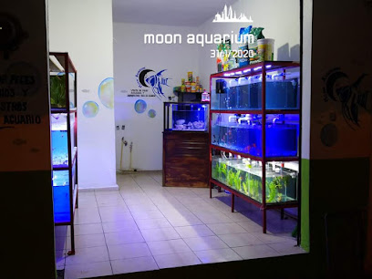 moon aquarium