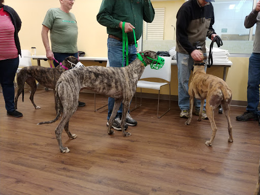 Pet Supply Store «PetPeople», reviews and photos, 3330 Washtenaw Ave, Ann Arbor, MI 48104, USA