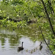 Alewife Reservation DCR Parking