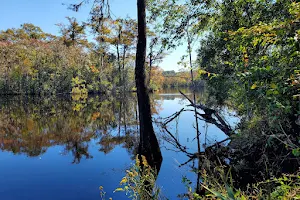 White Oak River Impoundment Game Land image