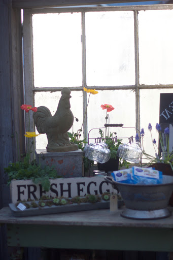 Plant Nursery «Pine Creek Nursery», reviews and photos, 23225 Sofie Rd, Monroe, WA 98272, USA