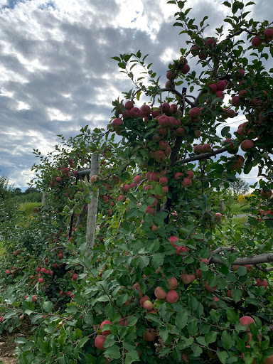 Produce Market «Race Farm», reviews and photos, 87 Belcher Rd, Blairstown, NJ 07825, USA