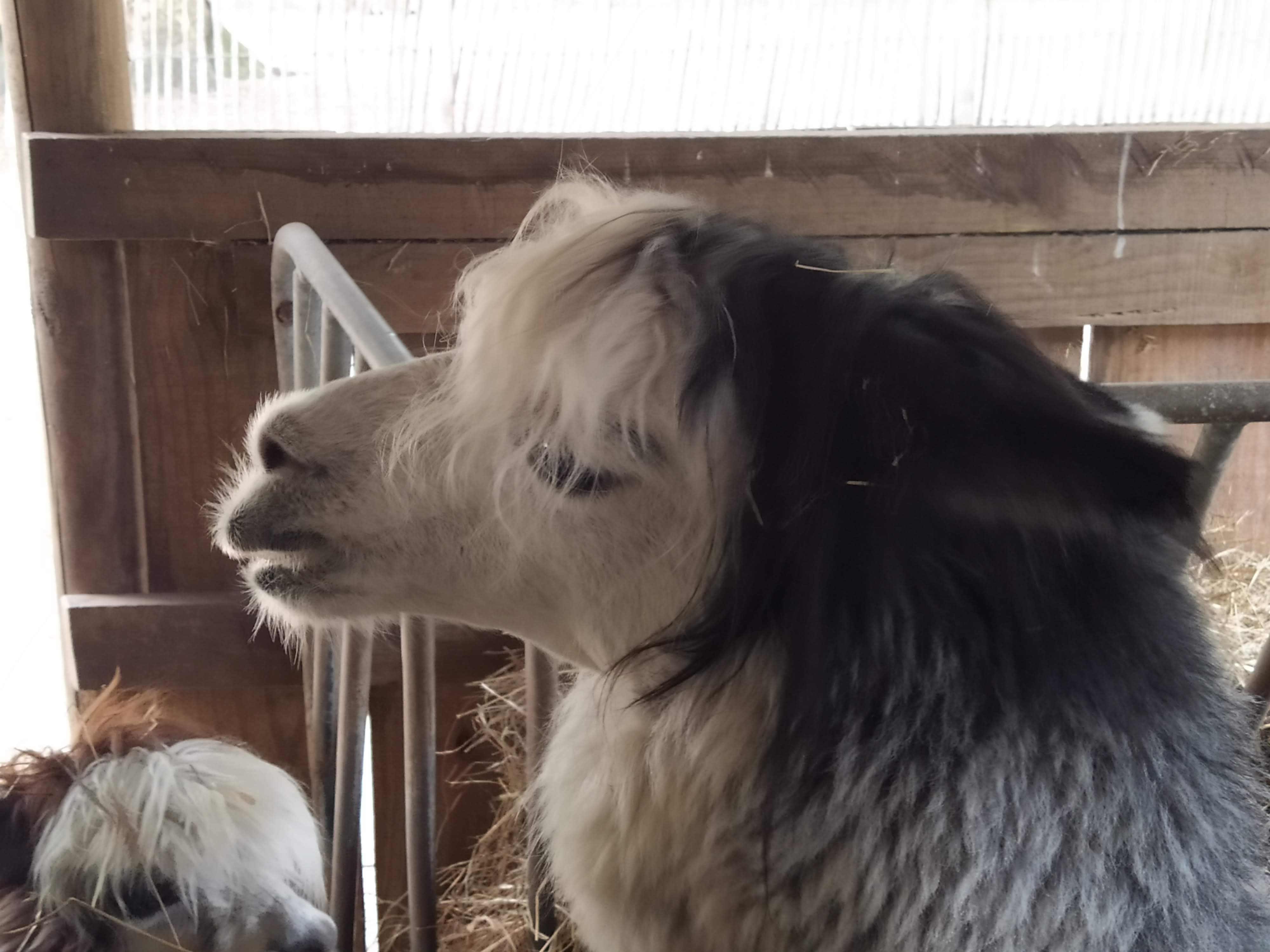 Photo n° 4 de l'avis de Lionel.e fait le 26/07/2019 à 12:31