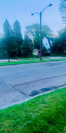 Florist «Tulipomania LLC», reviews and photos, 319 E Howard Ave, Milwaukee, WI 53207, USA