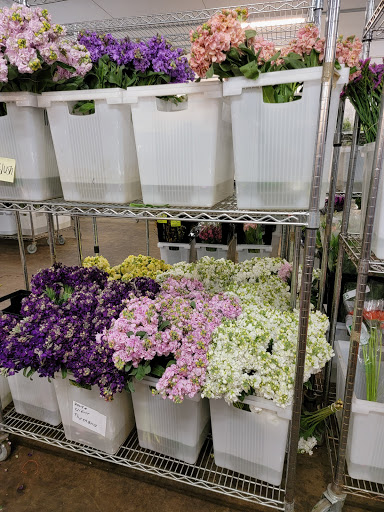 Florist «Botanica Wholesale Florist», reviews and photos, 3208 International Pl, Irving, TX 75062, USA