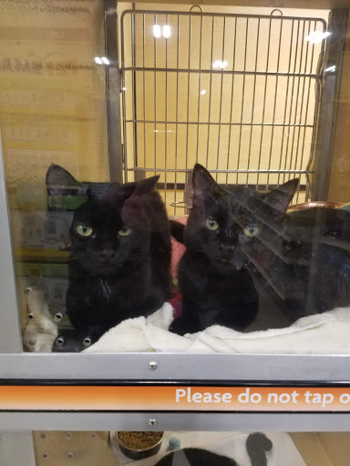 Pet Supply Store «PetSmart», reviews and photos, 14 Crossing Way #2, Augusta, ME 04330, USA