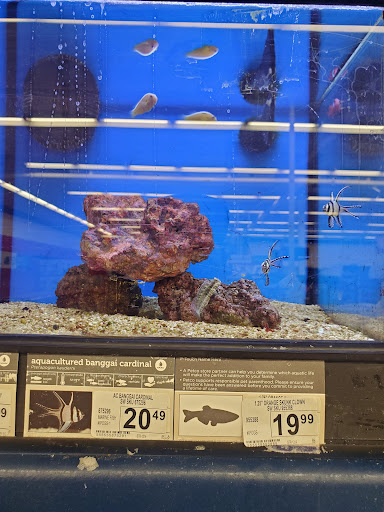 Pet Supply Store «Petco Animal Supplies», reviews and photos, 3717 S Meridian, Puyallup, WA 98373, USA