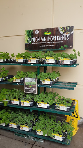 Home Improvement Store «The Home Depot», reviews and photos, 6633 Westminster Ave, Westminster, CA 92683, USA