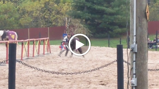 Festival «Pennsylvania Renaissance Faire», reviews and photos, 2775 Lebanon Rd, Manheim, PA 17545, USA