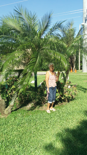 Park «Oak Lake Park», reviews and photos, 3190 N 56th Ave, Hollywood, FL 33021, USA