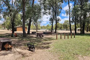 Whiteman Park Dog Park image