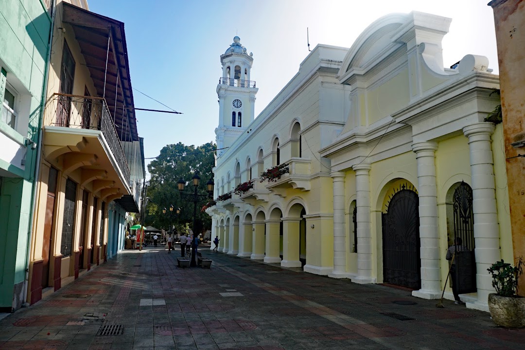 Palacio Consistorial de Santo Domingo