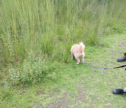 ECOLOGICO HUEHUECALLI TEPOZAN Park photo