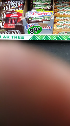 Dollar Store «Dollar Tree», reviews and photos, 415 Georgia Ave, Fort Pierce, FL 34950, USA