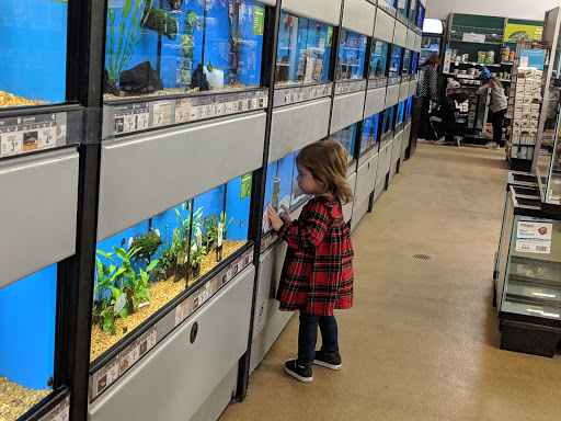 Pet Supply Store «Petco Animal Supplies», reviews and photos, 9137 Central Ave a, Montclair, CA 91763, USA