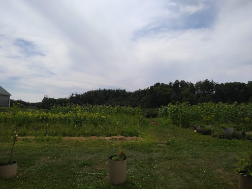 Farm «Heron Pond Farm», reviews and photos, 299 Main Ave, South Hampton, NH 03827, USA