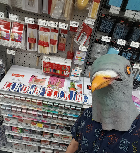 Craft Store «Michaels», reviews and photos, 1516 Butterfield Rd a, Downers Grove, IL 60515, USA