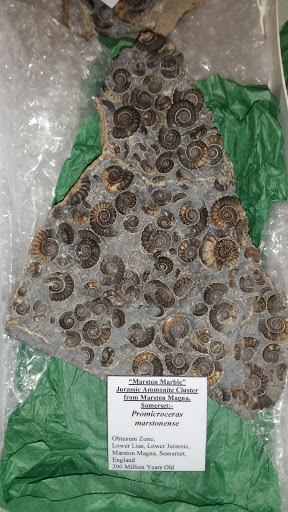 Banquet Hall «Emidio & Sons Banquet Center», reviews and photos, 48 E Bath Rd, Cuyahoga Falls, OH 44223, USA