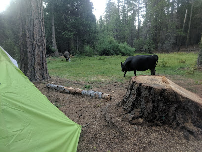 Kelty Meadow Campground - Office