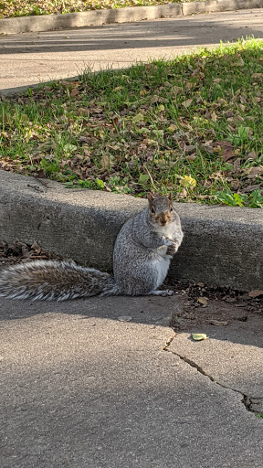 Park «Riverbank Park», reviews and photos, 27 Somme St, Newark, NJ 07105, USA